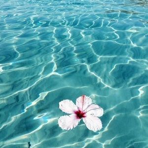 Meet your Posher, Ivonne